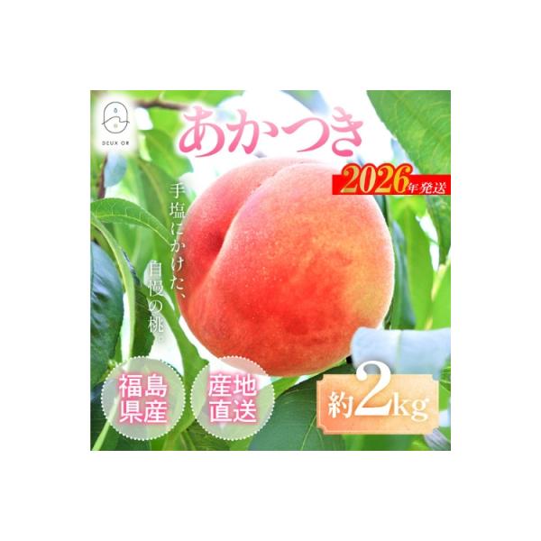 ■お礼品詳細　・事業者：カンノファーム　・内容量：約2kg　・賞味期限：発送日+3日※生もの(果物)ですので、できるだけお早めにお召し上がり下さい。　・配送方法：冷蔵便　・アレルギー：もも　・提供元：福島市■お申し込み・配送・その他　・発送...