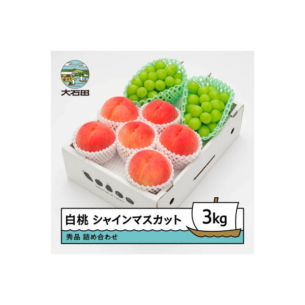 【先行予約】 もも 白桃 & シャインマスカット 約3kg 詰め合わせ 2026年産 令和8年産