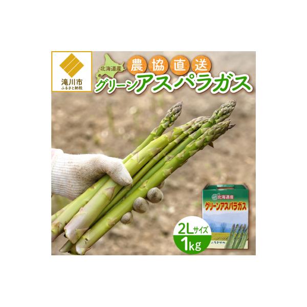 ■お礼品詳細　・提供事業者：JAたきかわ　・提供元：滝川市■お申し込み・配送・その他　・発送時期：2026年5月中旬以降順次発送(生育状態によって前後いたします)※長期連休(GW、お盆、年末年始)に伴い発送予定が変更となる場合がございます。...