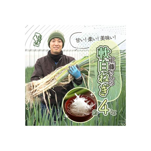■お礼品詳細　・内容量：軟白ねぎ Lサイズ30本 約4kg（1箱）　・賞味期限：到着後はなるべくお早めにお召し上がりください。　・配送方法 ：通常　・配送時期：2025年11月下旬以降順次発送予定　・注意事項：※配送予定時期にご住所が変わる...