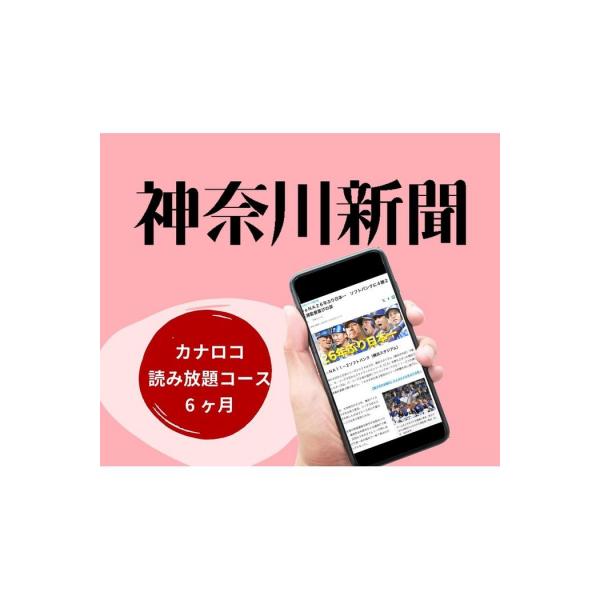 ふるさと納税 横浜市 神奈川新聞 「カナロコ読み放題コース」(6ヵ月)