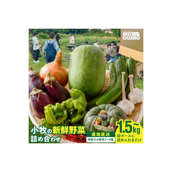 ■お礼品詳細　・容量：季節の野菜3〜6種（1.5kg〜）60サイズ段ボールに詰められるだけ　・生産地：小牧市　・保存方法 ：常温　・配送温度帯：常温　・消費期限：生鮮品のため設定なし（傷まないうちに食用ください。）　・地場産品基準：1号:区...