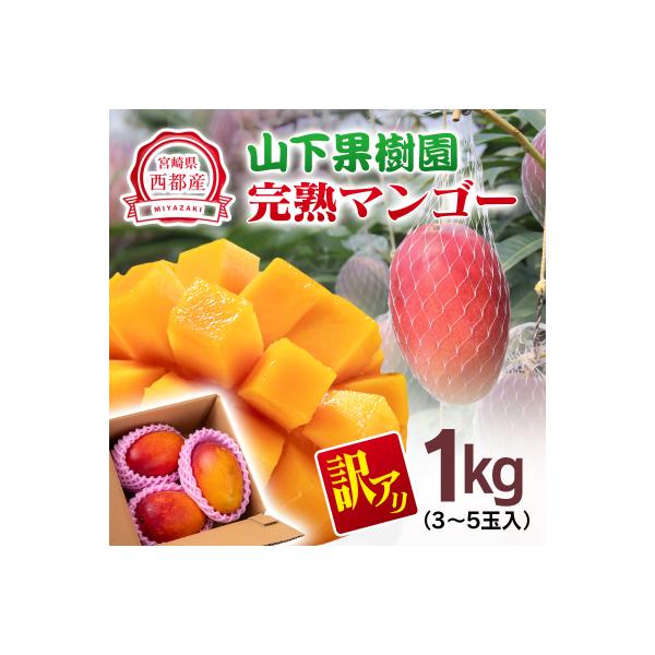 山下果樹園完熟マンゴー1kg(ご家庭用・訳あり)宮崎県産完熟マンゴー西都市産【先行受付】[2699]