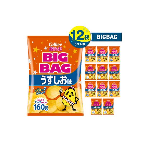 ポテトチップス BIGBAG【うすしお】12袋　K194-002_04