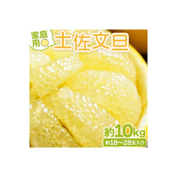 【訳あり】文旦 10kg 家庭用 10キロ 土佐文旦 柑橘系 果物 柑橘類 フルーツ yk-0070