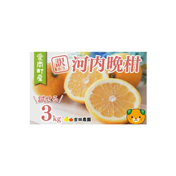 【高評価★4.8】 訳あり 河内晩柑 3kg 数量限定 みかん 吉田農園 愛南町 愛媛県