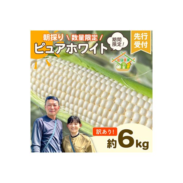 ■お礼品詳細　・配送種別：冷蔵便　・提供元：八千代町■お申し込み・配送・その他　・発送時期：2026年6月下旬からお申込み受付順に順次発送予定※発送予定日のお問い合わせはお答えできかねます。※天候の影響で収穫時期が前後する場合がございます。...