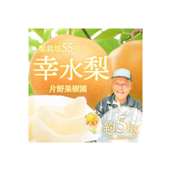 ■お礼品詳細　・配送種別：通常便　・提供元：八千代町■お申し込み・配送・その他　・発送時期：2026年08月上旬以降〜08月下旬発送予定※お申込み順に順次発送させていただきます。※天候や生育状況によって収穫時期が前後する場合がございます。予...