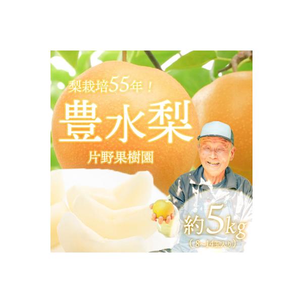 【2026年08月下旬以降発送】 片野果樹園 豊水梨 約5kg 豊水 産地直送 [AD018ya]