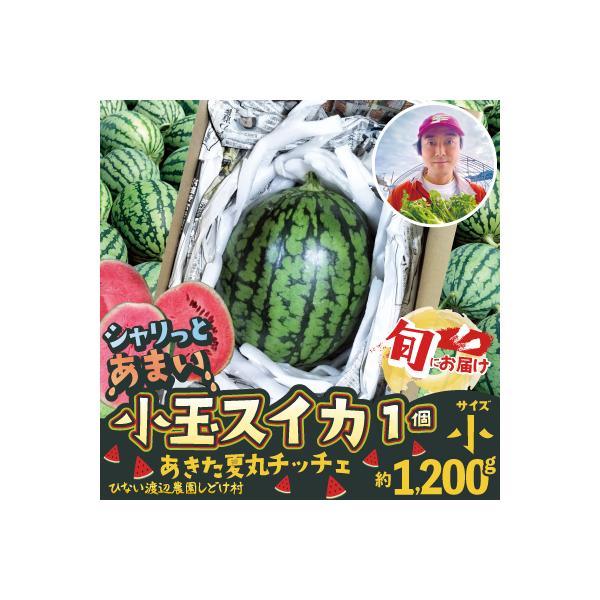 シャリっと甘い小玉スイカ!あきた夏丸チッチェ<小1個>