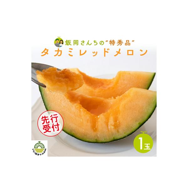 【令和8年産】【先行受付】タカミレッドメロン 特秀品 1玉 糖度 16度以上 [CG007ya]
