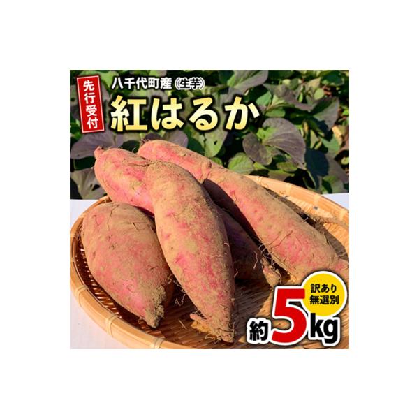 【先行受付】10月下旬以降発送 訳あり さつまいも 紅はるか 約5kg 土付き [AX046ya]