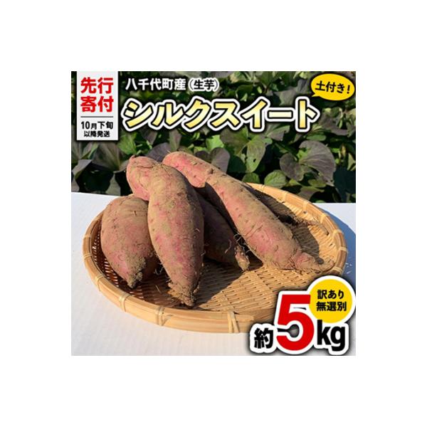 【先行受付】10月下旬以降発送 訳あり シルクスイート 約5kg さつまいも [AX047ya]