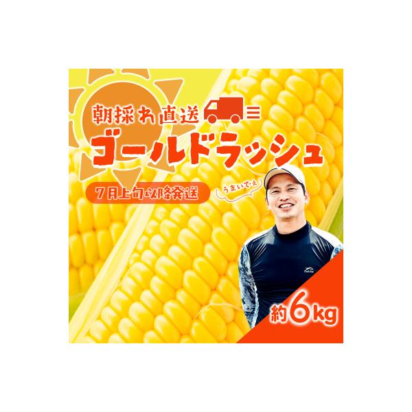 先行受付 7月上旬以降発送 朝採り トウモロコシ (ゴールドラッシュ) 約6kg[SF018ya]