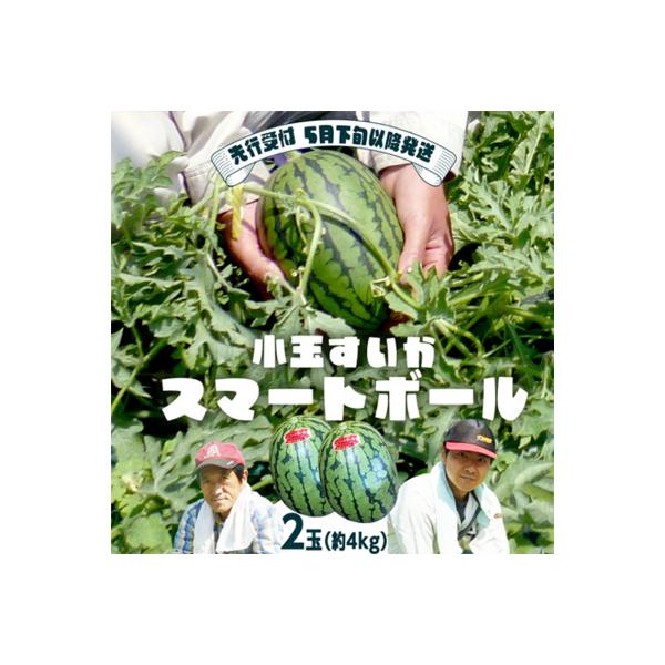 ■お礼品詳細　・配送種別：通常便　・提供元：八千代町■お申し込み・配送・その他　・発送時期：2026年5月下旬以降、お申込み順に発送※天候や生育状況によりお届けにお時間を頂戴する場合がございます。※2025年発送ではございませんのでご注意く...