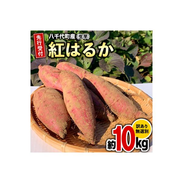 【先行受付】10月下旬以降発送 訳あり さつまいも 紅はるか 約10kg 土付き[AX010ya]
