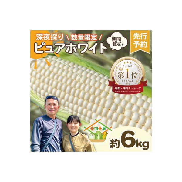 2026年6月下旬以降発送 深夜採りとうもろこし ピュアホワイト 約6kg [AX028yas]