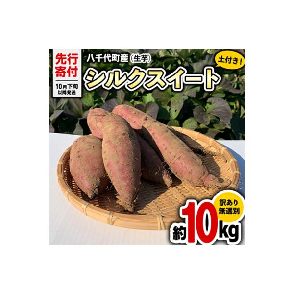 【先行受付】10月下旬以降発送 訳あり シルクスイート 約10kg さつまいも [AX035ya]