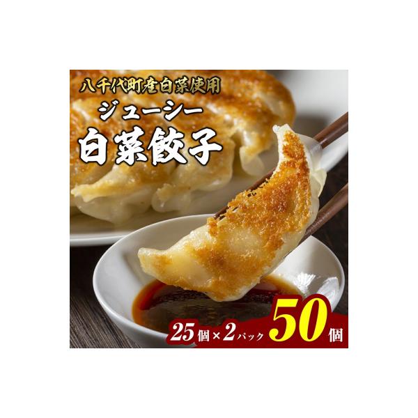 【生産量日本一!】総重量1250g ジューシー 白菜餃子 50個 小分け 25個×2パック