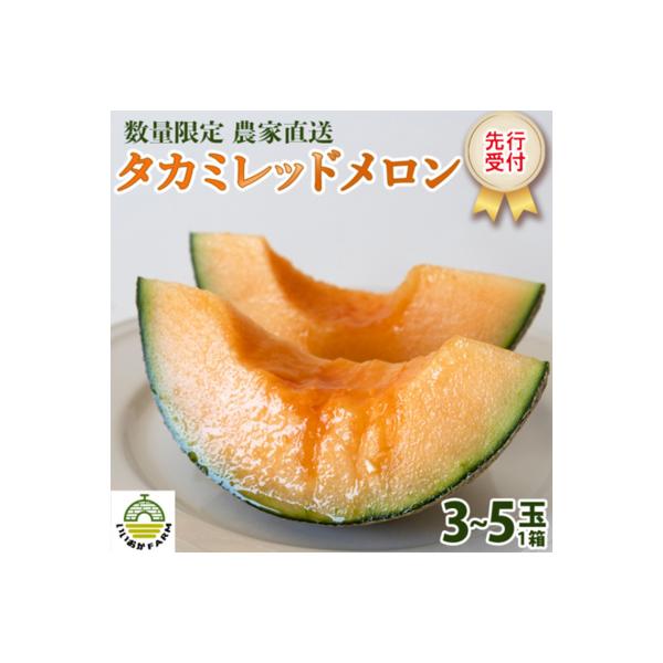 【令和8年産】【先行受付】タカミレッドメロン 秀品 3玉～5玉入り 貴味 タカミ [CG001ya]