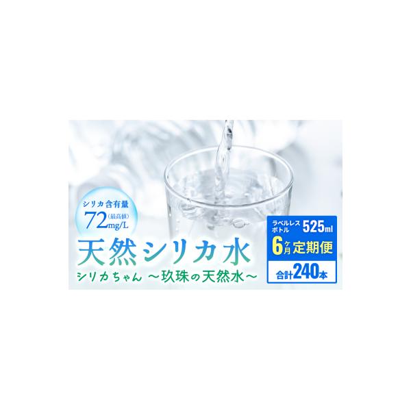 シリカ天然水 40本 × 6ヶ月定期便(シリカちゃん)