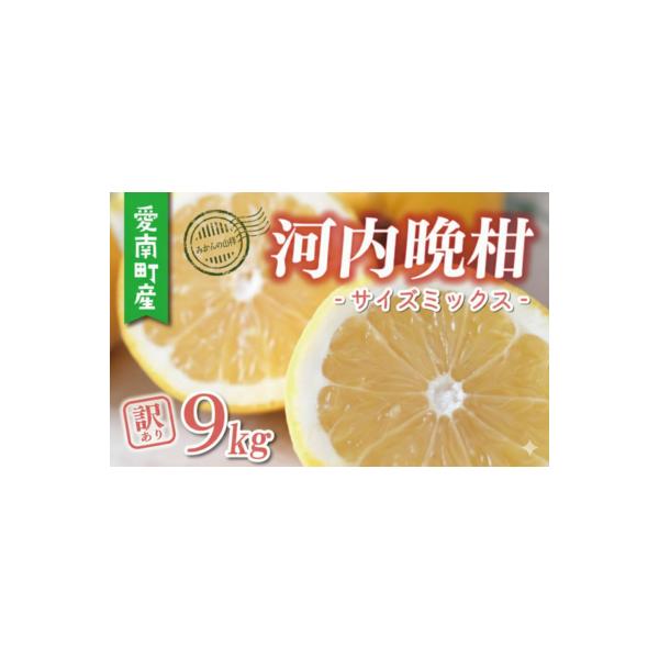 数量限定 先行受付 訳あり 河内晩柑 樹齢 25年以上 9kg みかんの山祥 愛南町 愛媛県