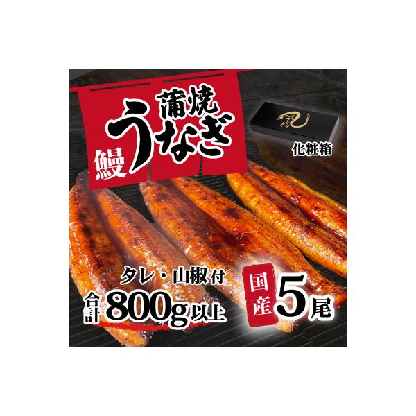 【化粧箱】国産うなぎ 蒲焼き 5尾 800g以上 タレ・山椒付き ギフト 上うなぎ ひつまぶし