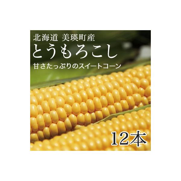 ■お礼品詳細　・提供元：美瑛町■お申し込み・配送・その他　・発送時期：令和8年8月中旬よりお届けします。 天候により発送が前後する場合があります。あらかじめご了承ください。　・申込受付期間：令和8年8月下旬までの受付となります。 ※天候によ...