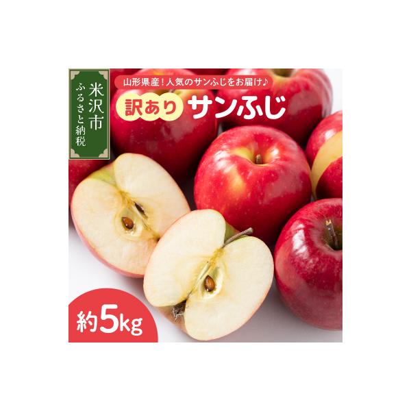 【先行予約】令和8年産 訳あり りんご サンふじ 約5kg2026年11月中旬～12月上旬頃 お届け