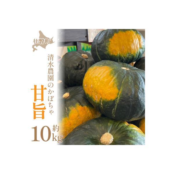 ■お礼品詳細　・内容量：かぼちゃ(甘旨)約10kg(4〜6玉)※個数は事業者お任せとなります。　・提供元：壮瞥町■お申し込み・配送・その他　・発送時期：9月初旬〜10月初旬頃まで　・申込受付期間：2026年9月20日まで　・配達外のエリア：...