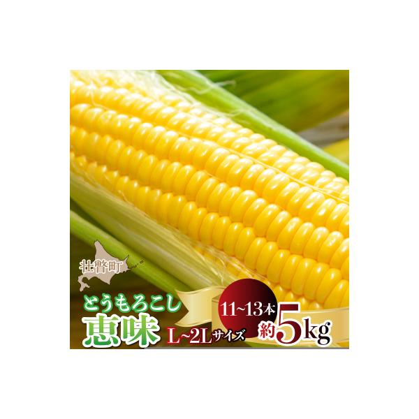 <2026年8月初旬よりお届け>とうもろこし(恵味)約5kg【11～13本】 SBTP002