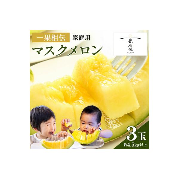 【ご家庭用】高知県産 一果相伝マスクメロン3玉 tn-0029