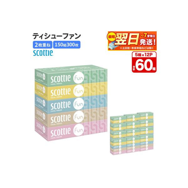 ティッシュ スコッティ ティシュー ファン 150組 5箱×12|15_nsc-141201