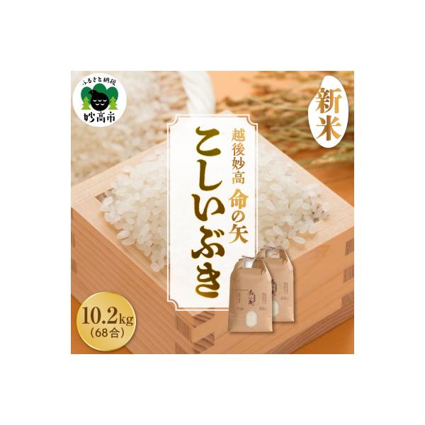 【先行受付】令和8年産 越後妙高命の矢 こしいぶき 10.2kg