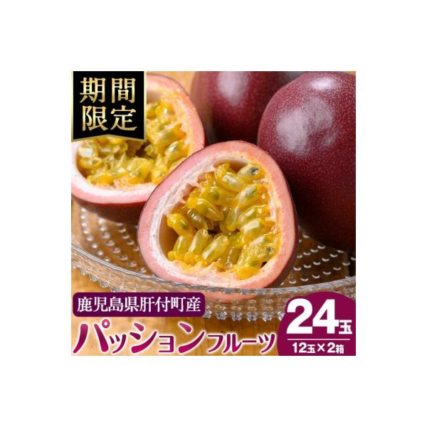 《先行受付》鹿児島県産 パッションフルーツ (約2.2kg・12玉入り2箱)　A68002