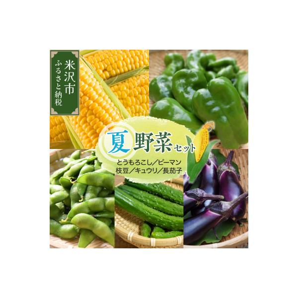 ■お礼品詳細　・提供事業者：株式会社アクセスよねざわ　・提供元：米沢市■お申し込み・配送・その他　・発送時期：2026年8月上旬〜下旬頃発送予定※お盆期間発送不可:8月10日〜15日※天候等により発送時期が前後する場合がございます。　・申込...