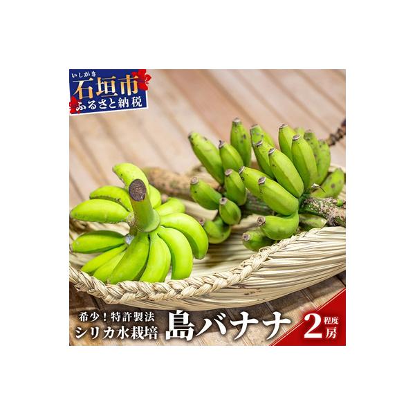 希少!特許製法で作るシリカ水で栽培する特別な「島バナナ」