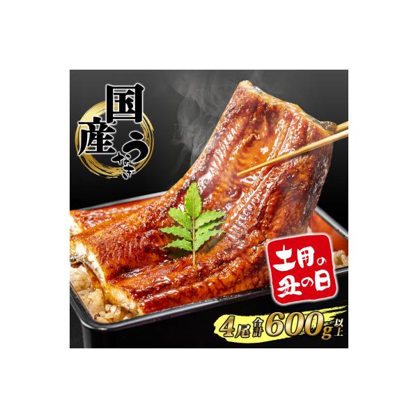 【丑の日までにお届け】 国産 うなぎ 蒲焼き 4尾 計600g以上 鰻 蒲焼 鰻蒲焼 簡易包装