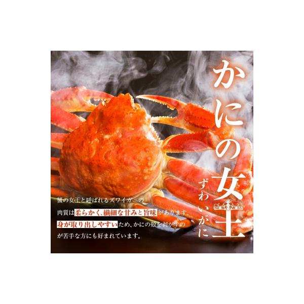 ずわいがに脚 3L～5Lサイズ2.4kg_HD065-007