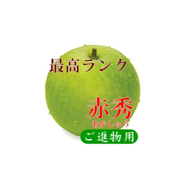 鳥取県産 二十世紀梨 “赤秀” 5kg (10〜14玉/5L～3Lサイズ)