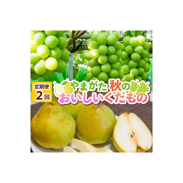 ■お礼品詳細　・配送方法：常温・冷蔵　・事業者：ヤマイチ青果株式会社　・提供元：山形市■お申し込み・配送・その他　・発送時期：2026年09月20日頃〜2026年11月30日頃※状況により配送時期が前後する場合がございます。(着日指定不可)...