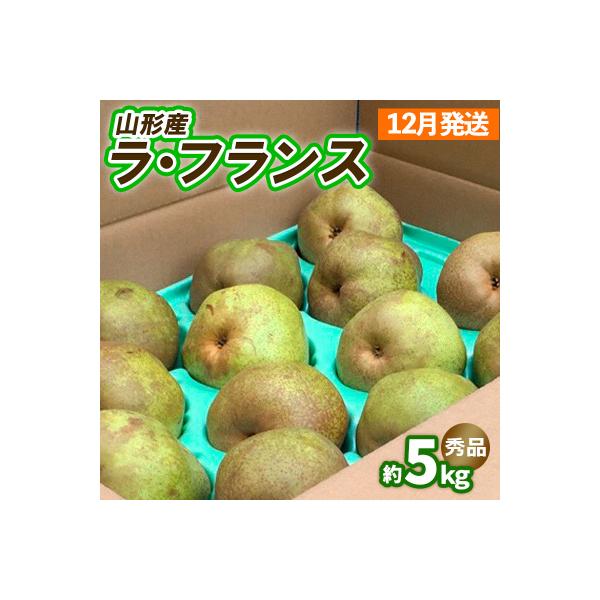 ■お礼品詳細　・配送方法：常温　・事業者：株式会社スプリングス　・提供元：山形市■お申し込み・配送・その他　・発送時期：2026年12月01日頃〜2026年12月31日頃※状況により配送時期が前後する場合がございます。(着日指定不可)※山形...