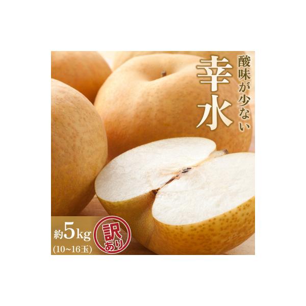 ■お礼品詳細　・賞味期限：出荷後3日程度　・発送種別：通常便　・事業者：馬場果樹園　・提供元：角田市■お申し込み・配送・その他　・発送時期：8月中旬以降準備でき次第、順次発送いたします。　・申込受付期間：〜2026年8月10日　・配達外のエ...