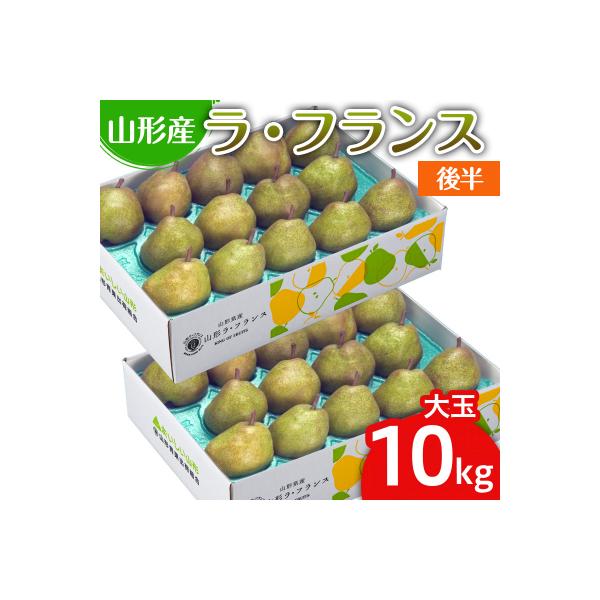 ■お礼品詳細　・配送方法：常温　・事業者：株式会社丸勘山形青果市場　・提供元：山形市■お申し込み・配送・その他　・発送時期：2026年12月01日頃〜2026年12月25日頃※状況により配送時期が前後する場合がございます。(着日指定不可)※...