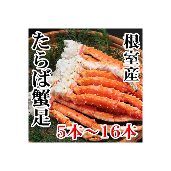 【北海道根室産】ボイルたらば蟹足5本～16本(計1～1.2kg) C-70077