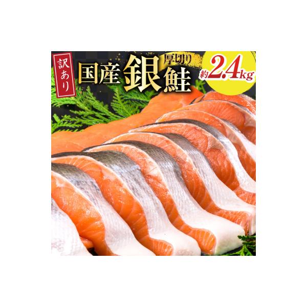 訳あり 国産 減塩 厚切り 塩銀鮭 切身 計 3kg [20565950] 鮭 サーモン 鮭切り身