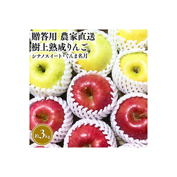 【10～11月発送】贈答用 樹上熟成りんご シナノスイート・ぐんま名月 約3kg【平川市産】