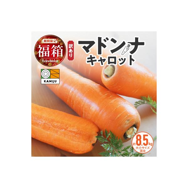 ■お礼品詳細　・内容量：説明文に記載　・配送方法：常温　・北海道は冷蔵便で発送　・消費期限：説明文に記載　・事業者：神重農産　・提供元：碧南市■お申し込み・配送・その他　・発送時期：2026年1月〜2月上旬に順次発送 ※不在日がある場合は碧...