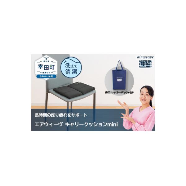 エアウィーヴ キャリークッションmini | airweave おすすめ エアウィーブ
