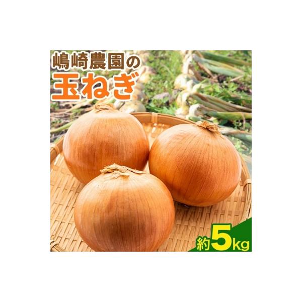 ■お礼品詳細　・返礼品情報：嶋崎農園の玉ねぎ約5kg　・名称：北もみじ2000　・内容量：約5kg　・原材料：玉ねぎ　・配送方法：常温　・提供元：嶋崎農園　・賞味期限：1ヵ月〜2ヵ月　・発送時期：2026年10月中旬より順次発送　・提供元：...